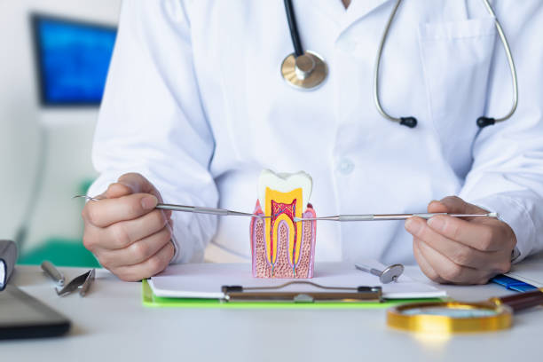 Best Emergency Dental Services for Seniors in Royal Oak, MI
